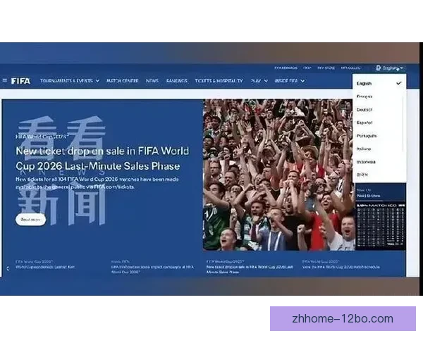 博主怒批国际足联官网无中文服务却收取高额转播费用